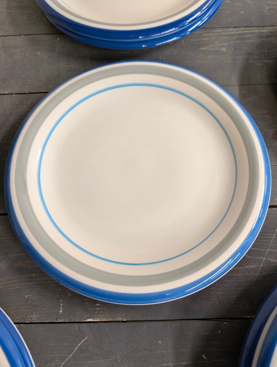 1970's Japanese Colorifics Vintage Stoneware Plates - Crap4Cash -